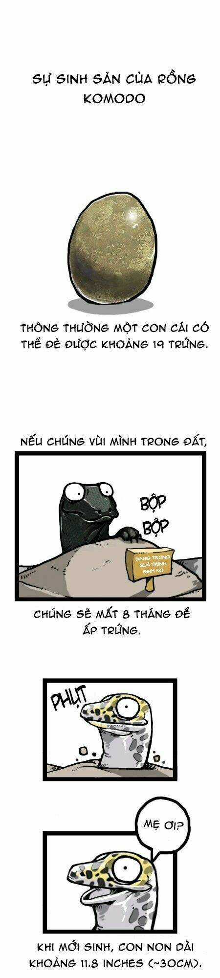 The Earth, Human, And Animal Chapter 26 trang 14