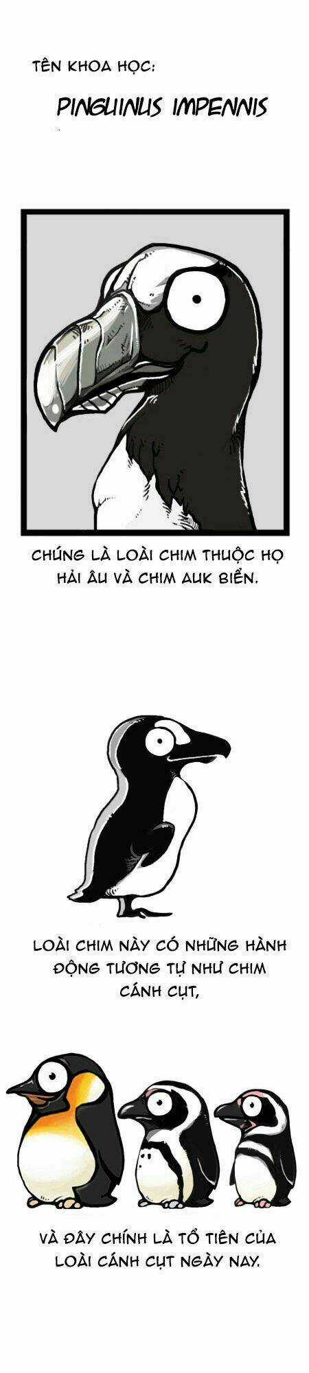 The Earth, Human, And Animal Chapter 28 trang 6