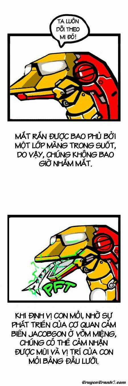 The Earth, Human, And Animal Chapter 4 trang 12