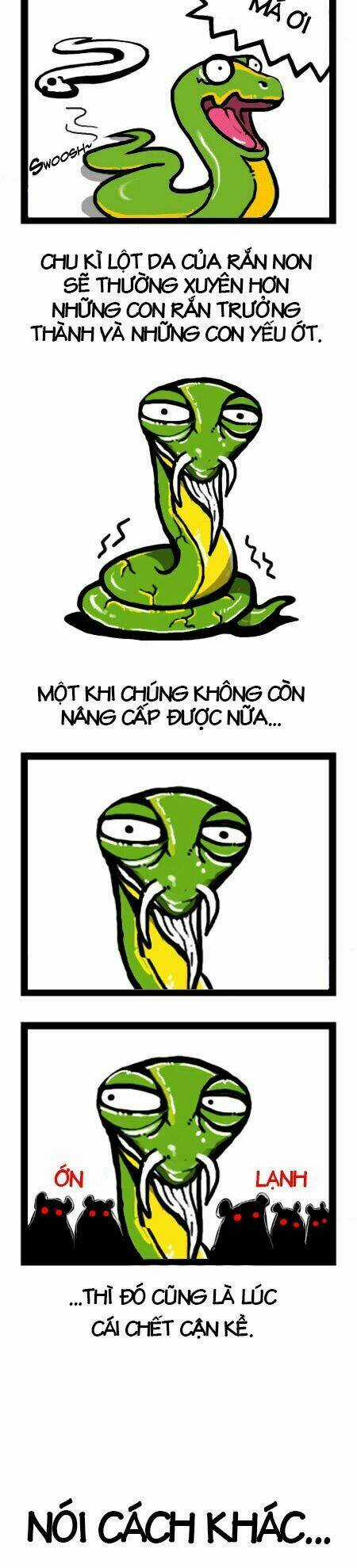 The Earth, Human, And Animal Chapter 4 trang 14