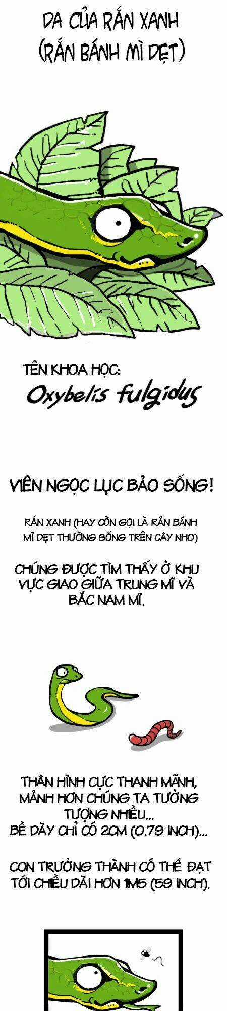 The Earth, Human, And Animal Chapter 4 trang 2