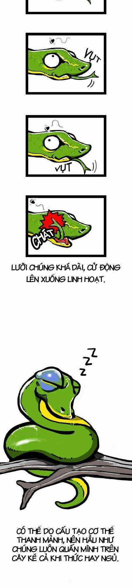 The Earth, Human, And Animal Chapter 4 trang 3