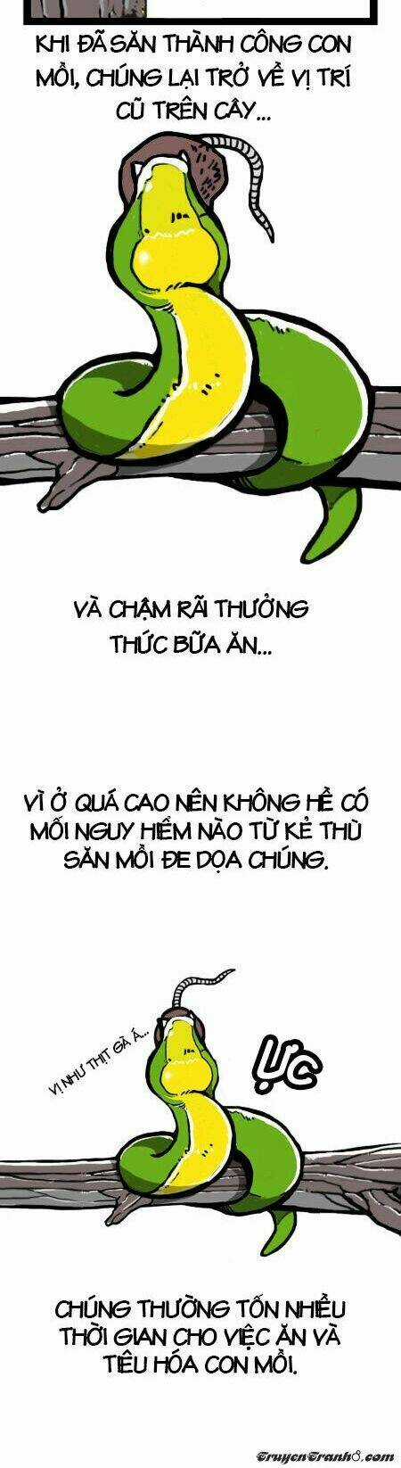 The Earth, Human, And Animal Chapter 4 trang 6