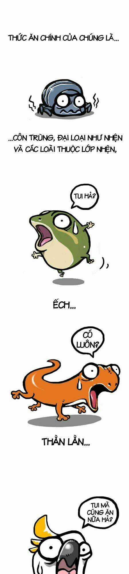 The Earth, Human, And Animal Chapter 4 trang 7