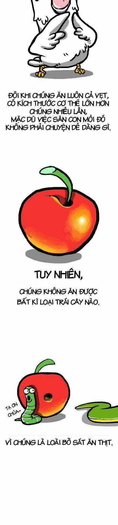 The Earth, Human, And Animal Chapter 4 trang 8