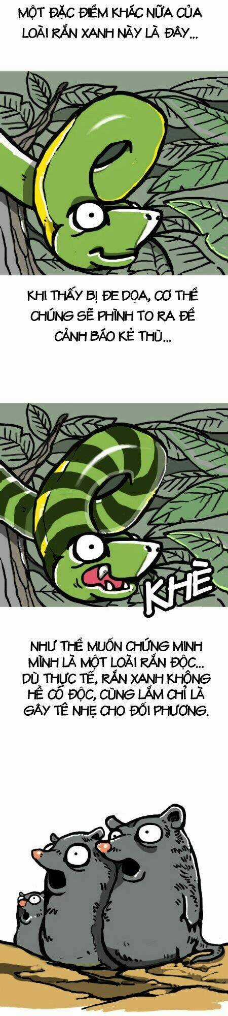 The Earth, Human, And Animal Chapter 4 trang 9