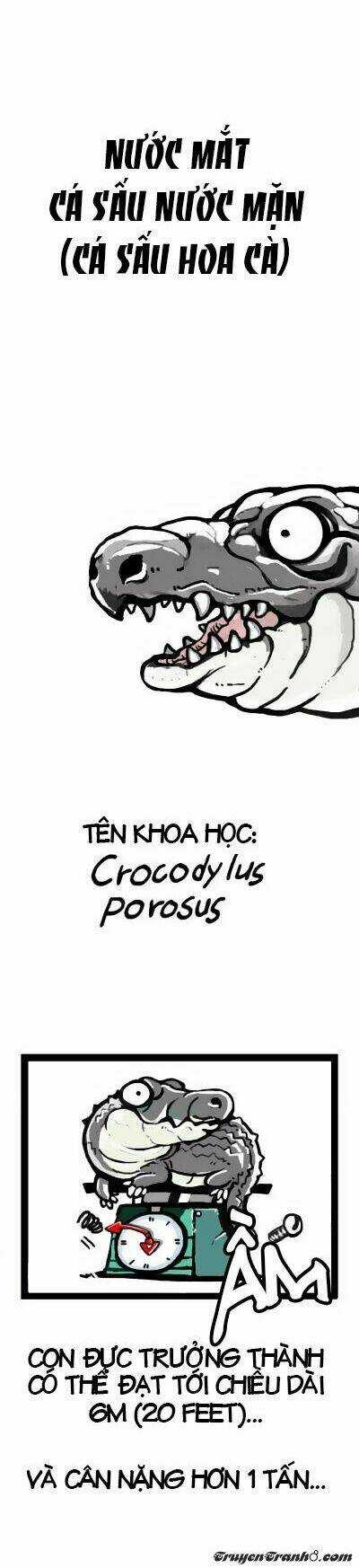 The Earth, Human, And Animal Chapter 6 trang 2