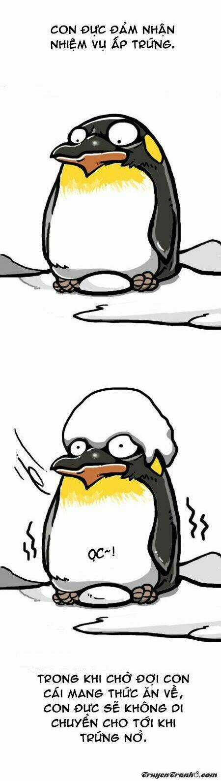 The Earth, Human, And Animal Chapter 7 trang 11