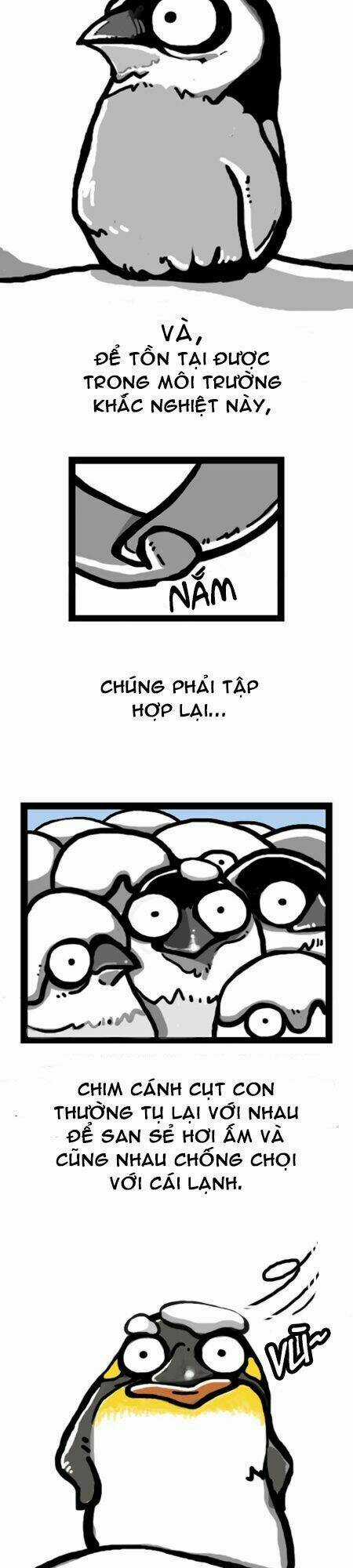 The Earth, Human, And Animal Chapter 7 trang 13