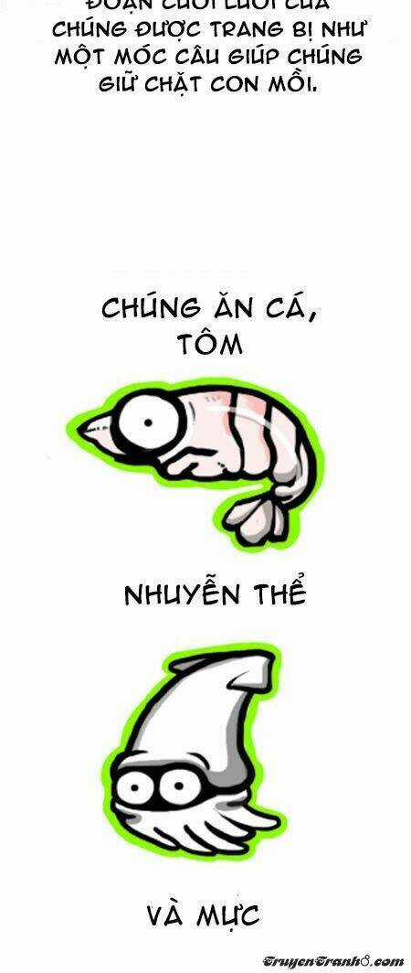 The Earth, Human, And Animal Chapter 7 trang 6