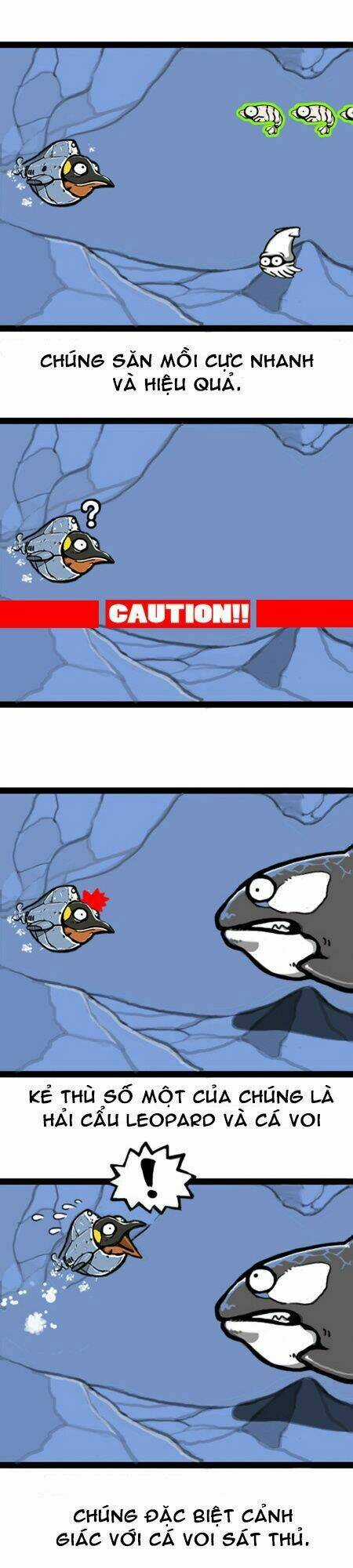 The Earth, Human, And Animal Chapter 7 trang 7