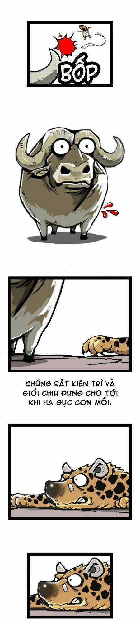 The Earth, Human, And Animal Chapter 9 trang 14