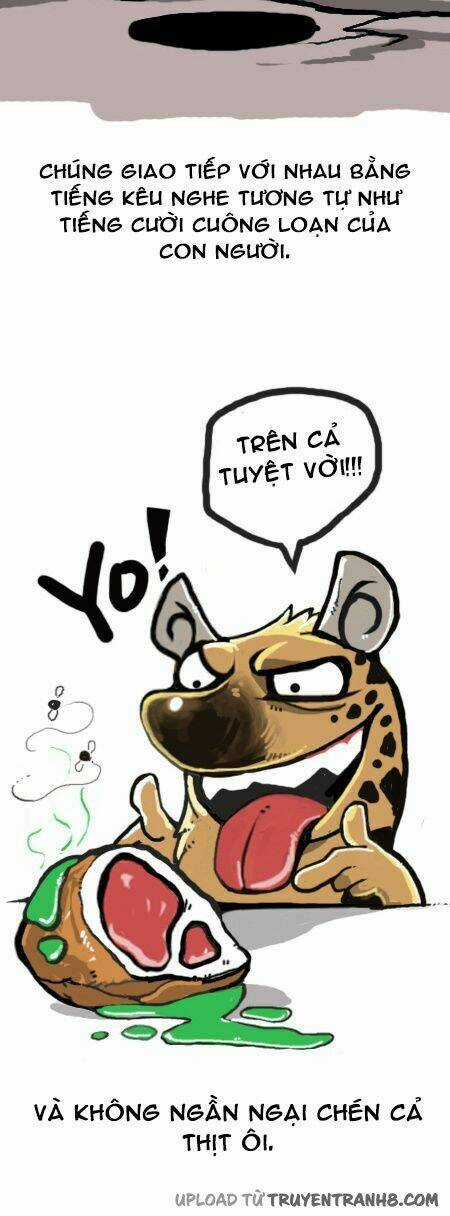 The Earth, Human, And Animal Chapter 9 trang 6