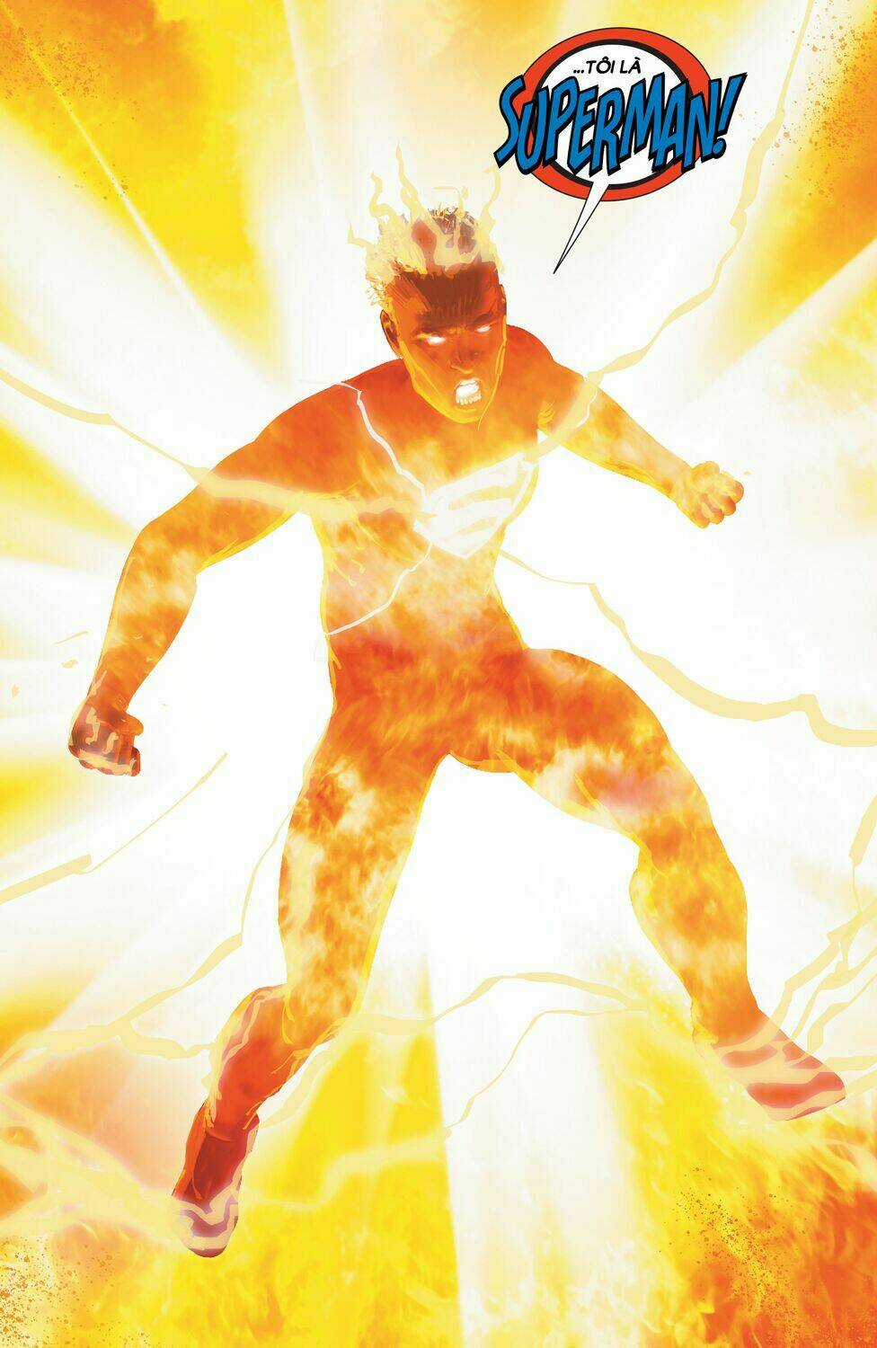 The Final Days Of Superman Chapter 1 trang 17