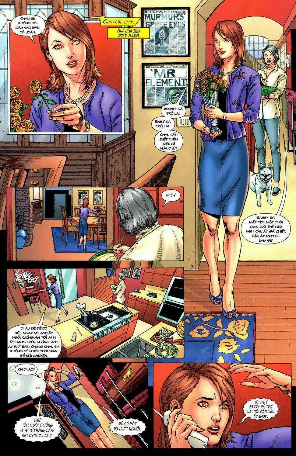 The Flash: Rebirth Chapter 1 trang 17