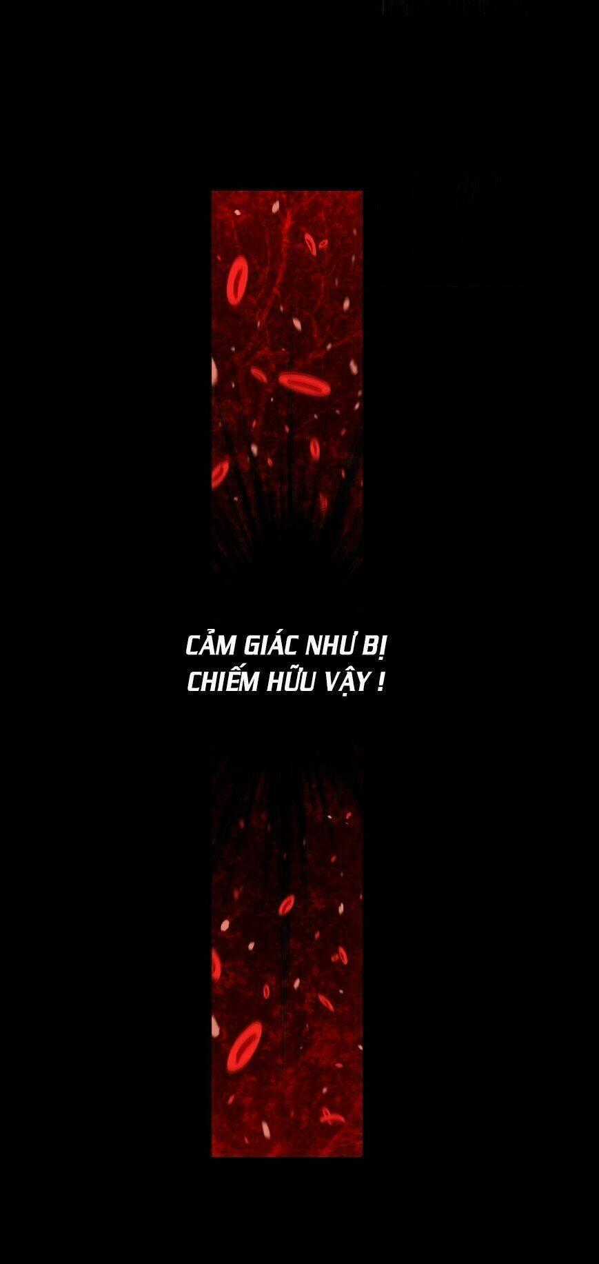Thế Giới Ảo Nguyệt Chapter 27 trang 1