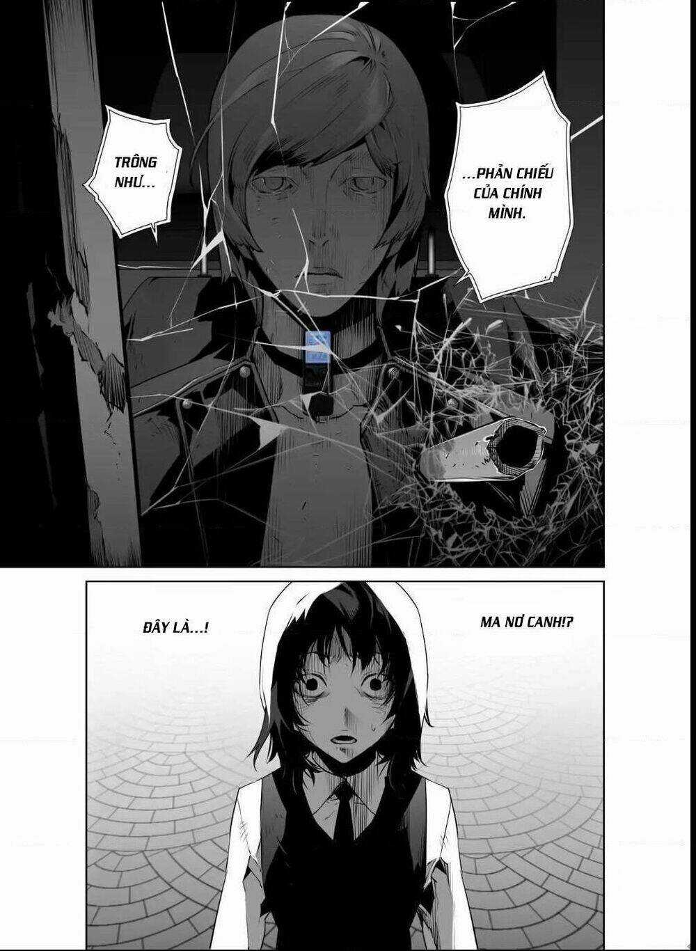 Thế Giới Ảo Nguyệt Chapter 47 trang 10