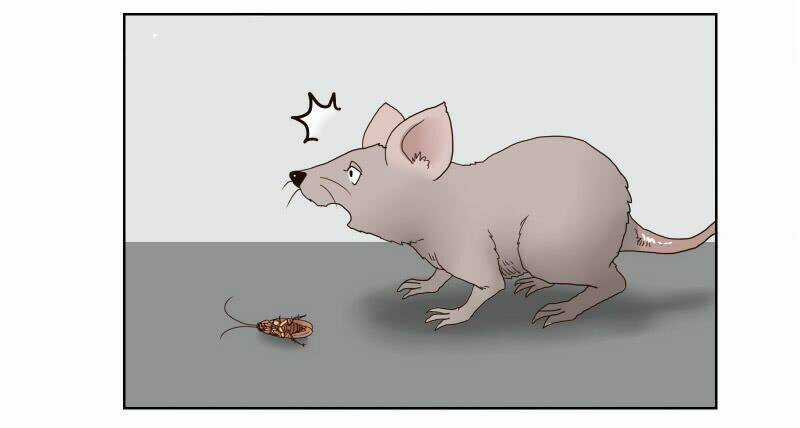 Thế Giới Cận Tử Chapter 1 trang 2