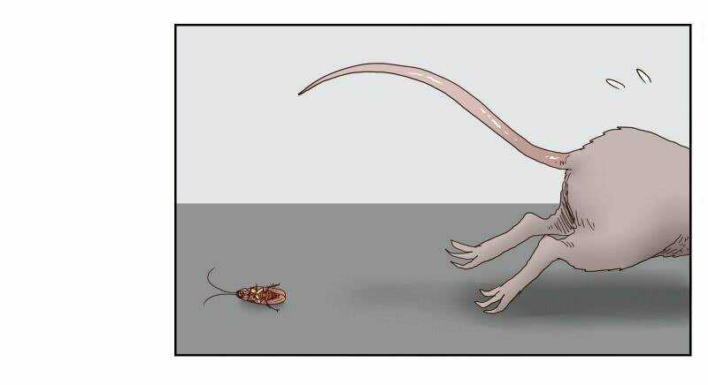 Thế Giới Cận Tử Chapter 1 trang 3