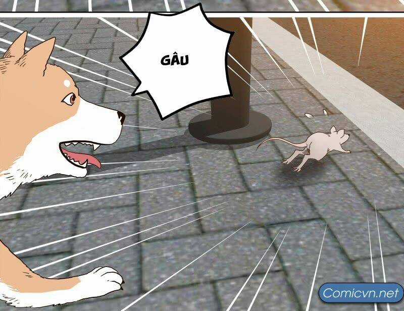 Thế Giới Cận Tử Chapter 1 trang 6