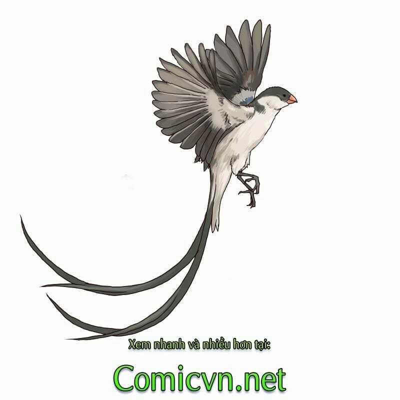 Thế Giới Cận Tử Chapter 2 trang 26