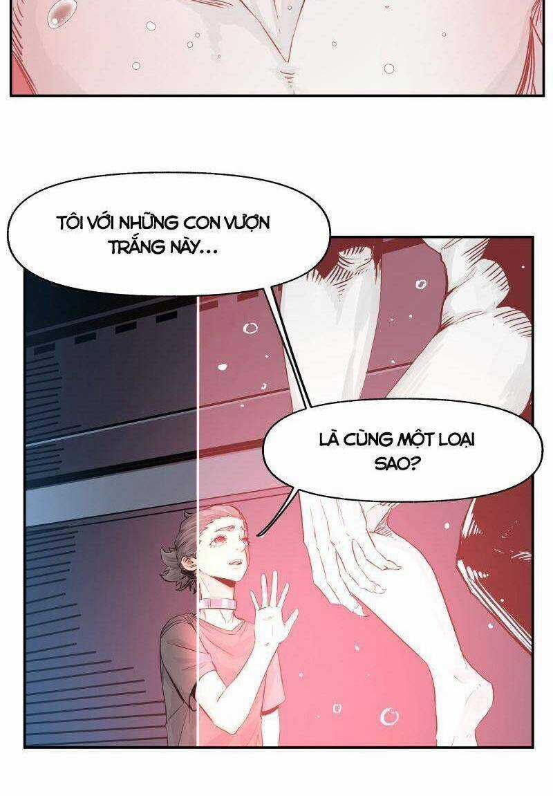 Thế Giới Mà Chỉ Người Có Siêu Năng Lực Mới Bị Tổn Hại Chapter 14 trang 5