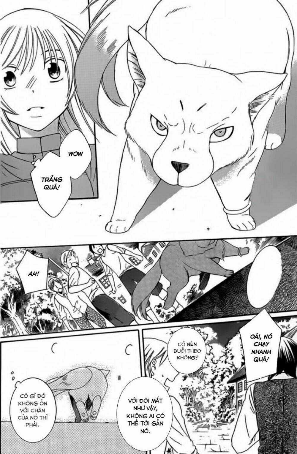 Thế Giới Tươi Đẹp Chapter 42 trang 21