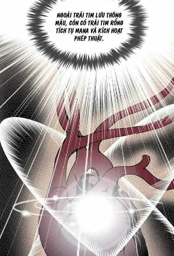 Thế Giới Võ Thuật Của Pháp Sư Chapter 4 trang 9