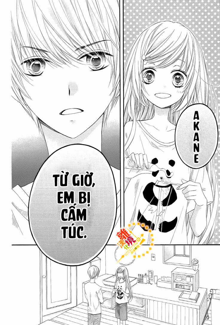 The Romantica Clock Chapter 25 trang 4