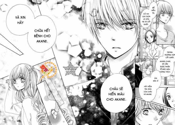 The Romantica Clock Chapter 36 trang 24