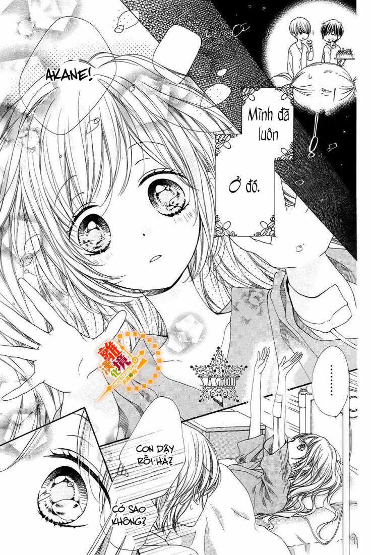 The Romantica Clock Chapter 36 trang 5