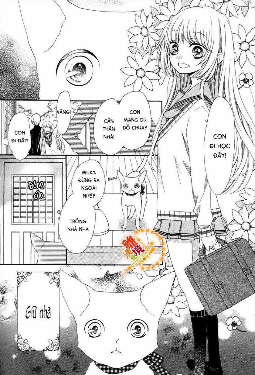 The Romantica Clock Chapter 41.4 trang 12