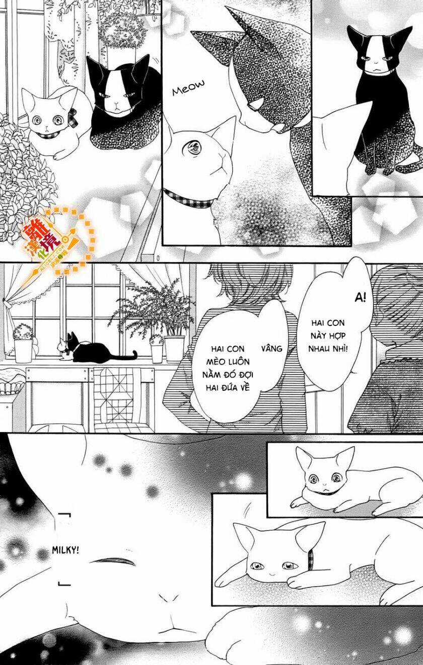 The Romantica Clock Chapter 41.4 trang 14