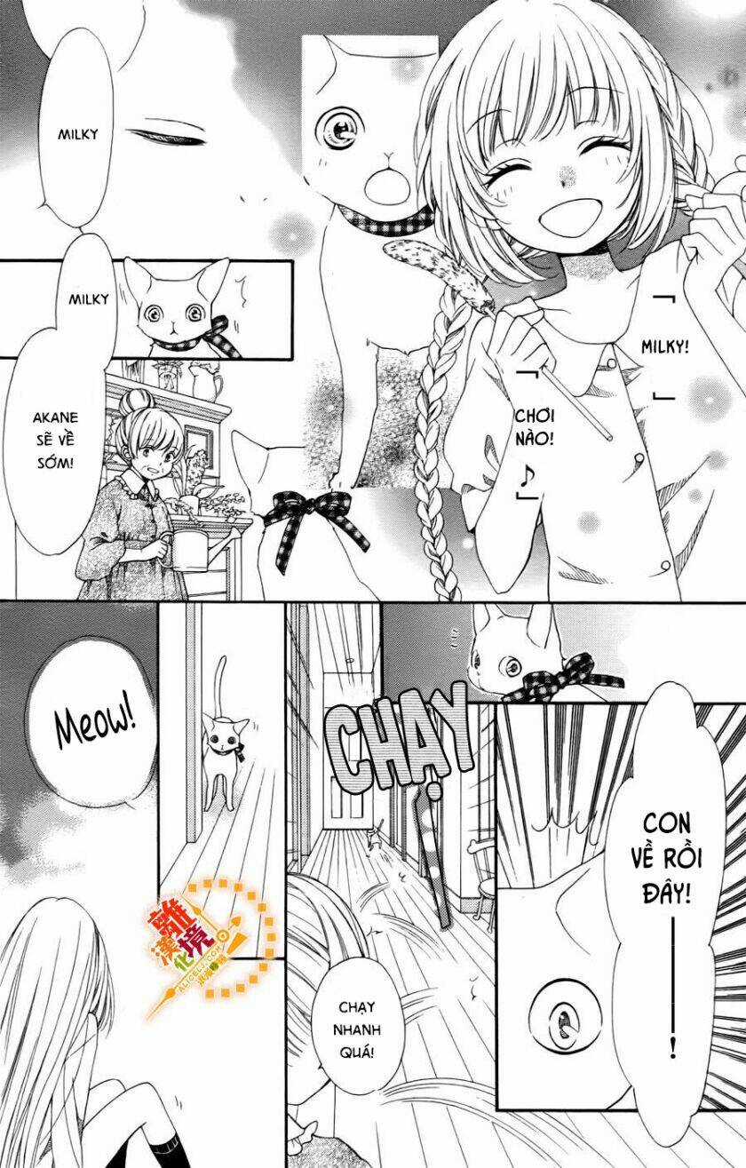 The Romantica Clock Chapter 41.4 trang 15