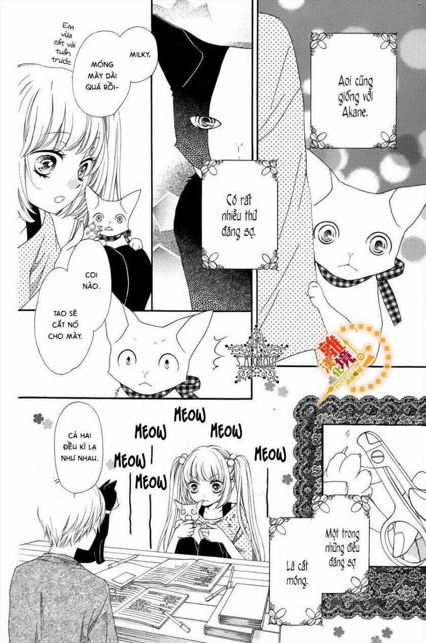 The Romantica Clock Chapter 41.4 trang 5