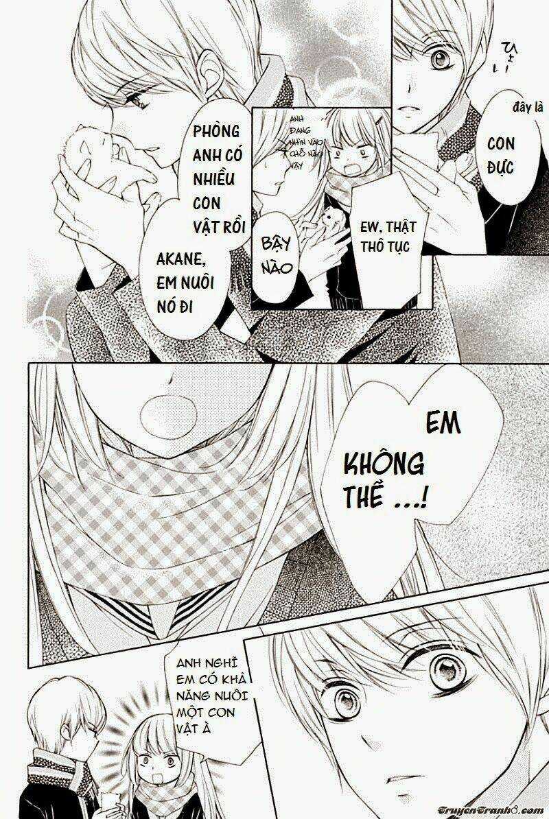 The Romantica Clock Chapter 6 trang 34