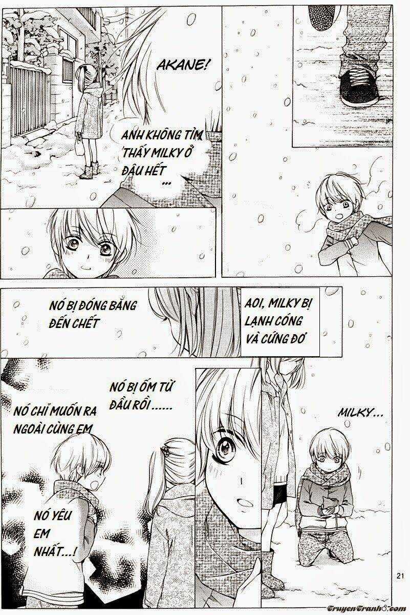 The Romantica Clock Chapter 7 trang 21