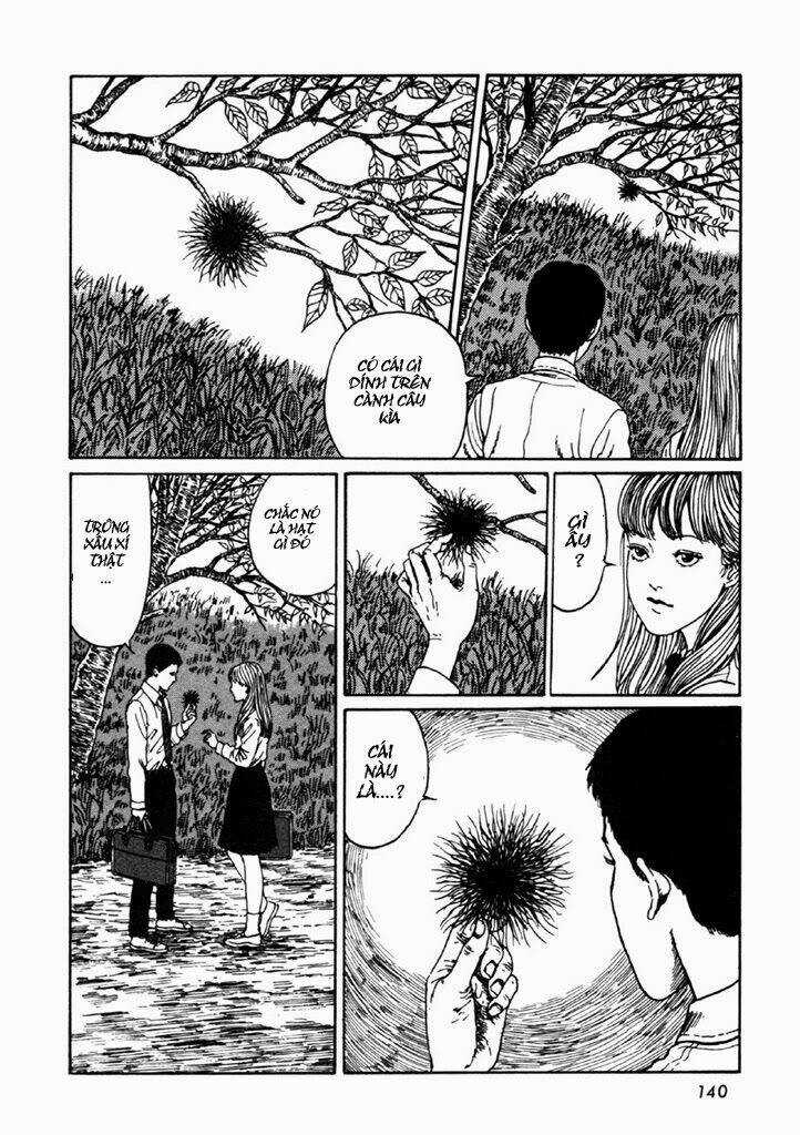 The Shard Of Evil Chapter 3 trang 5