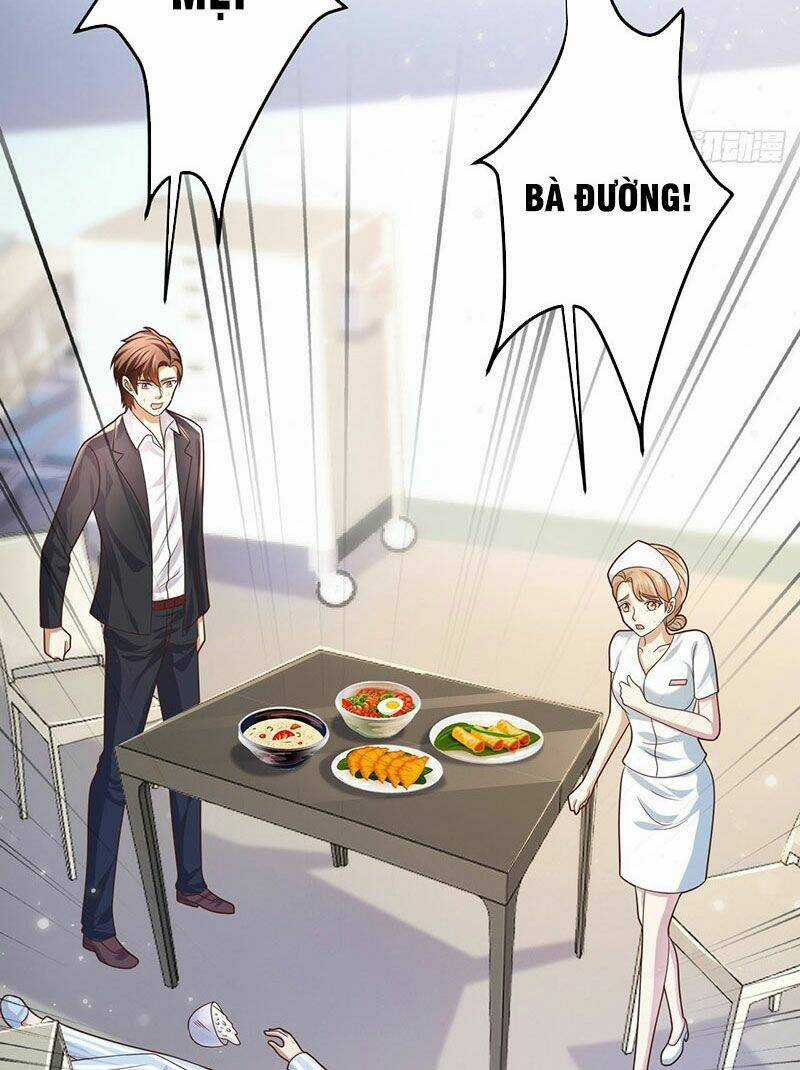 Thế Thân Thiếu Gia Không Dễ Chọc Chapter 18 trang 25