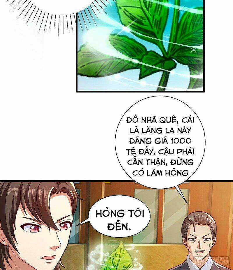 Thế Thân Thiếu Gia Không Dễ Chọc Chapter 35 trang 12