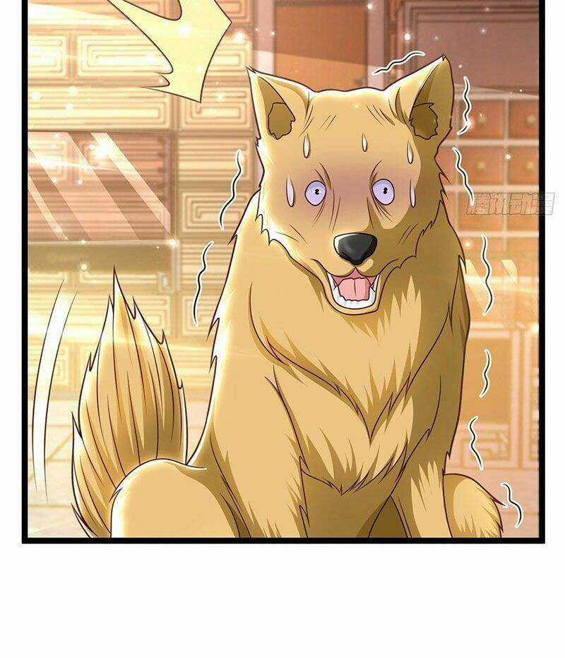 Thế Thân Thiếu Gia Không Dễ Chọc Chapter 49 trang 62