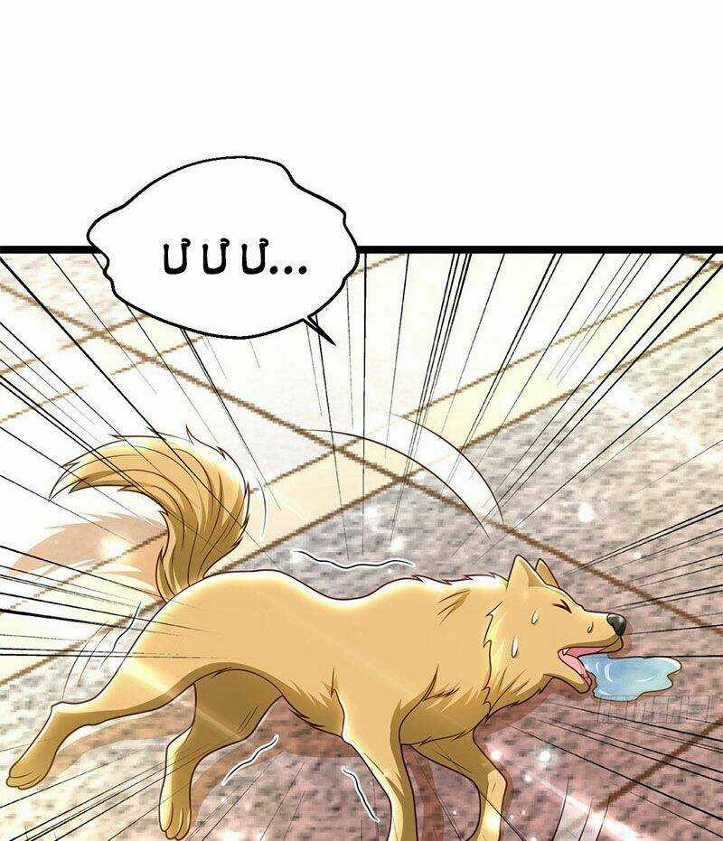 Thế Thân Thiếu Gia Không Dễ Chọc Chapter 49 trang 63