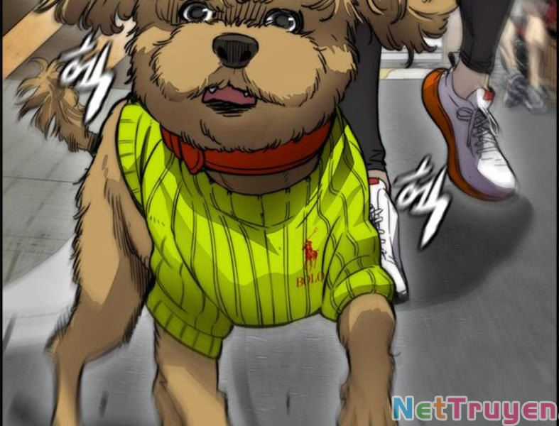 Thể Thao Cực Hạn Xem thể thao trực tiếp trực tuyến Chapter 388 trang 157