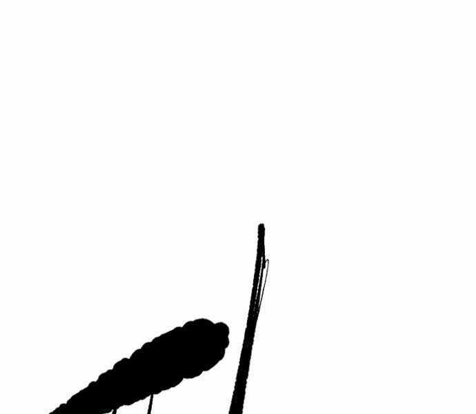 Thể Thao Cực Hạn Xem thể thao trực tiếp trực tuyến Chapter 482 trang 24