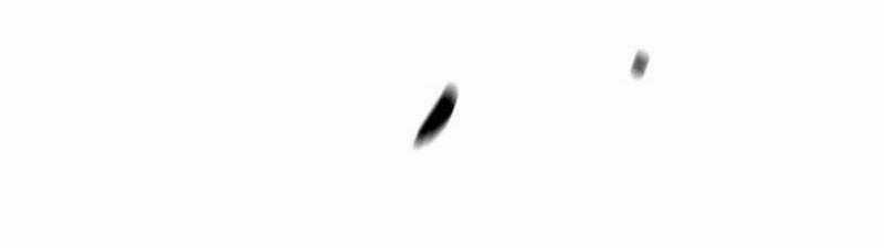 Thể Thao Cực Hạn Xem thể thao trực tiếp trực tuyến Chapter 500.5 trang 53