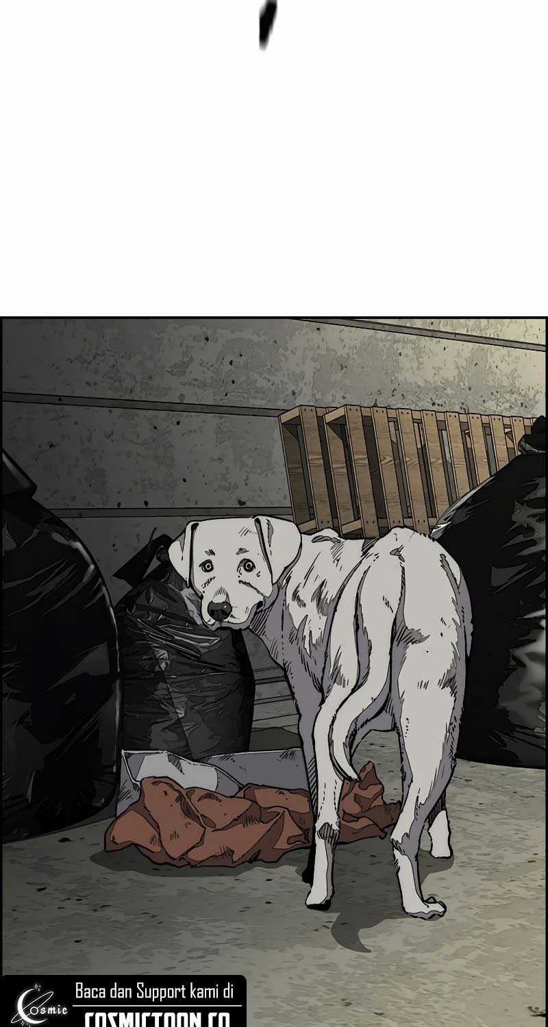 Thể Thao Cực Hạn Xem thể thao trực tiếp trực tuyến Chapter 518 trang 120