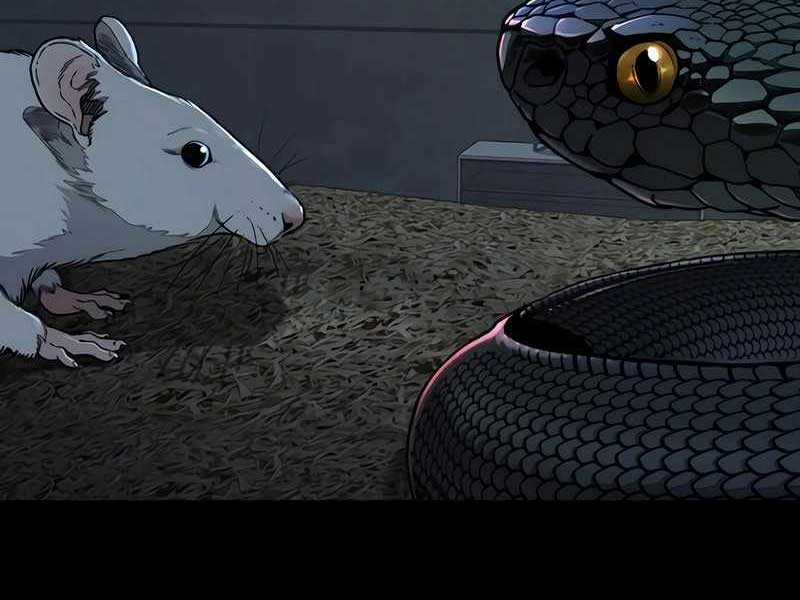 Thể Thao Cực Hạn Xem thể thao trực tiếp trực tuyến Chapter 524 trang 330