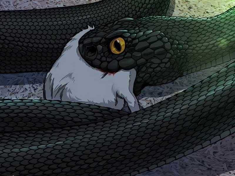 Thể Thao Cực Hạn Xem thể thao trực tiếp trực tuyến Chapter 524 trang 333