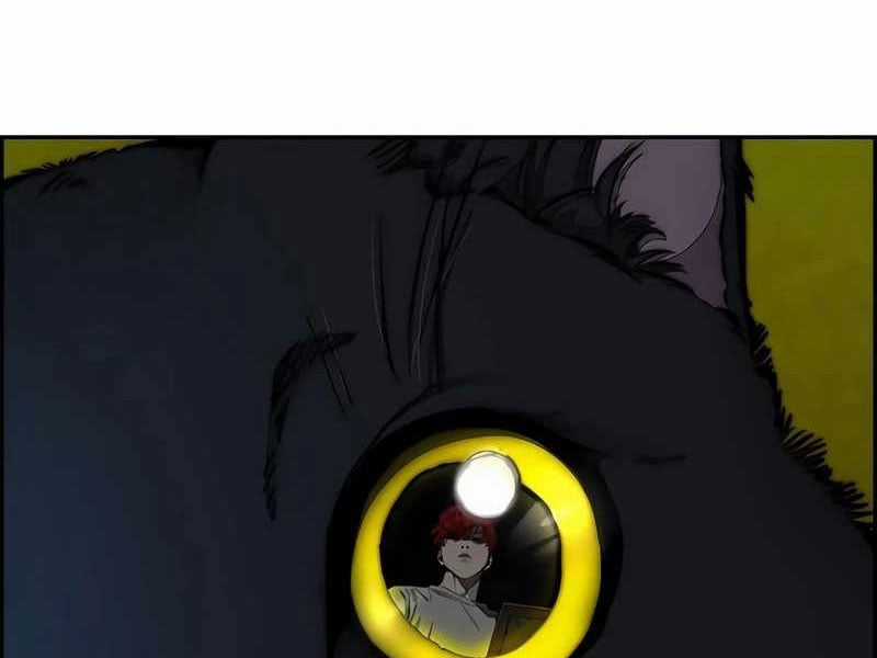 Thể Thao Cực Hạn Xem thể thao trực tiếp trực tuyến Chapter 525 trang 123