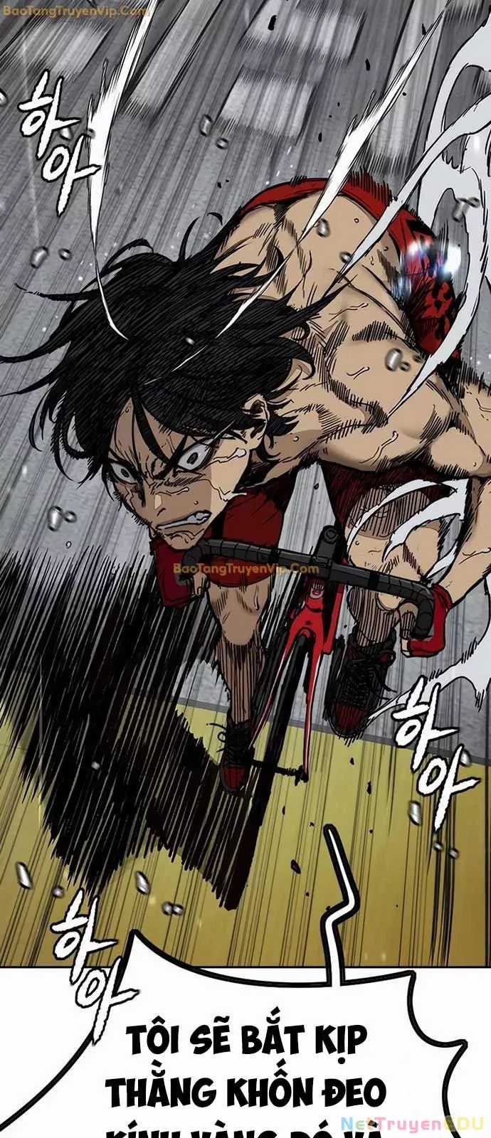 Thể Thao Cực Hạn Chapter 537 trang 29